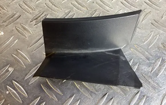 Rear/tail light trim molding