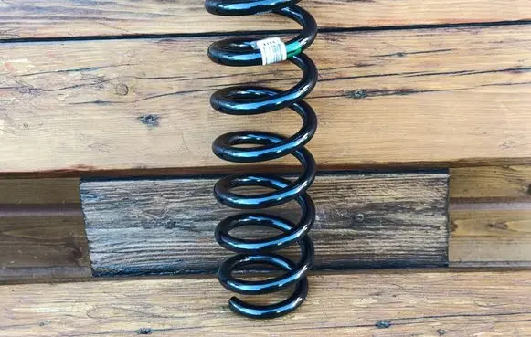 Rear coil spring