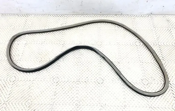 Citroen C5 Rubber seal front door (on door) 