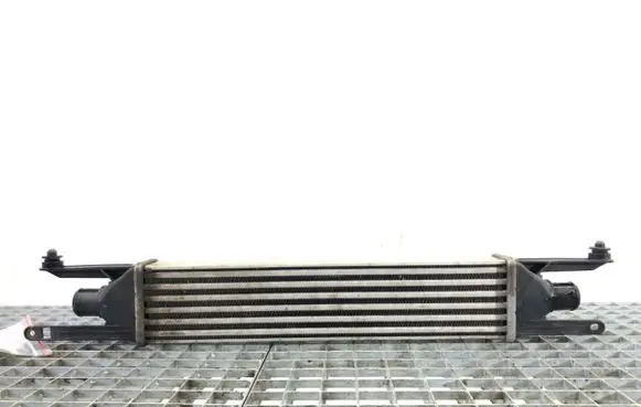 Fiat Punto (199) Intercooler radiator
