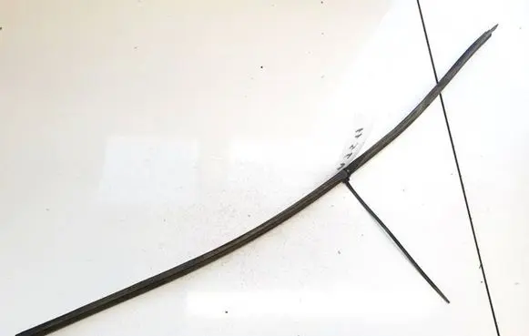 Peugeot 406 Rubber seal front coupe door 