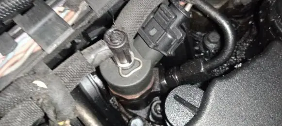 Citroen C5 Fuel injector 0445110259
