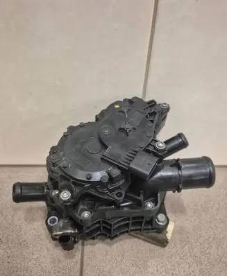 KIA Ceed Thermostat 256902U000
