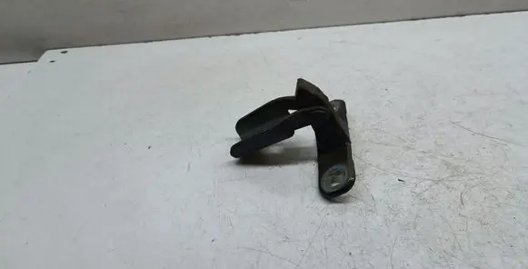 BMW X5 E70 Tailgate hinge 14187910