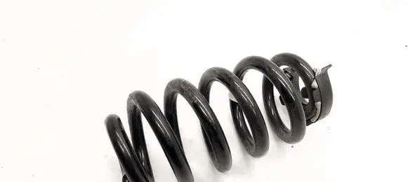 Audi Q4 Sportback e-tron Rear coil spring 1EA511103FF