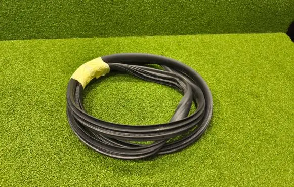 Renault Arkana Rear door rubber seal (on body) 
