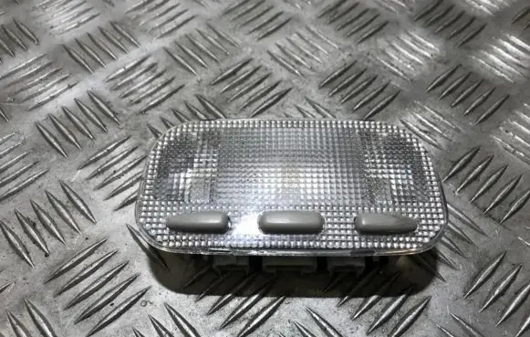 Peugeot 407 Front seat light