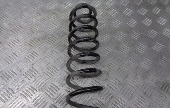 Renault Megane II Rear coil spring
