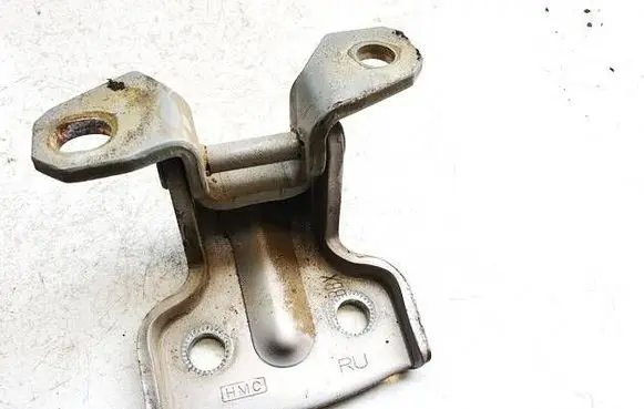 Hyundai Trajet Rear door lower hinge