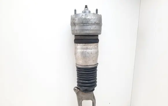 Porsche Panamera (970) Air suspension front shock absorber 97034305115 166ATE02A02439A 111116225231