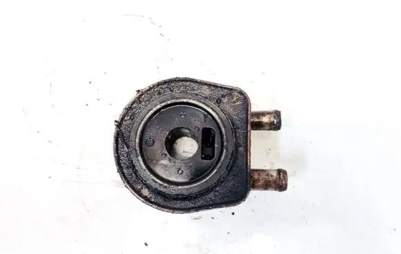 Nissan Primera Engine oil radiator 