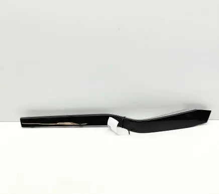 Tesla Model X Front door card panel trim 1035878810B