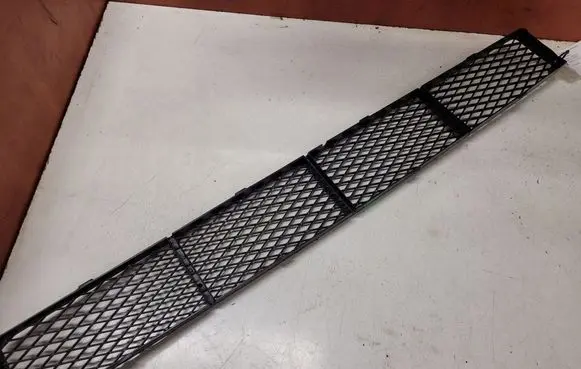 Ford Focus Front bumper lower grill