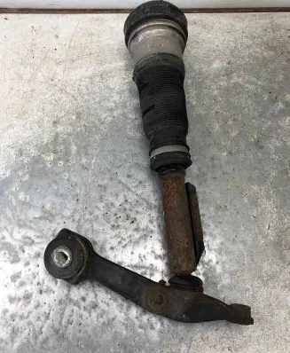 Mercedes-Benz S W220 Front shock absorber/damper