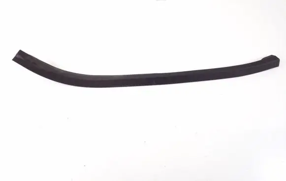 Mercedes-Benz SLK R171 Front door rubber seal A1716970351