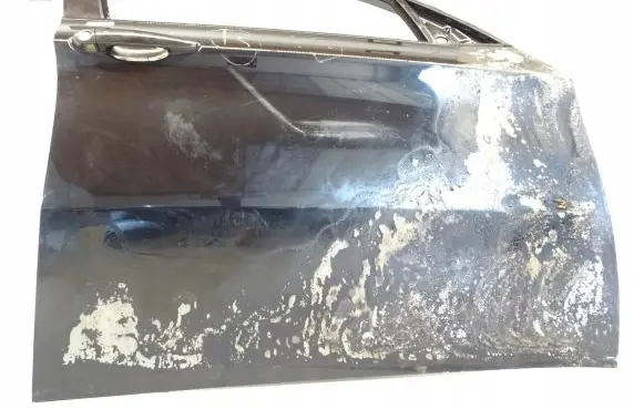 BMW X6 E71 Front door