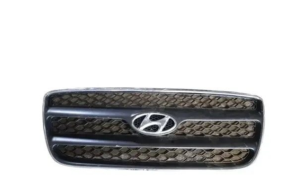 Hyundai Santa Fe Front grill