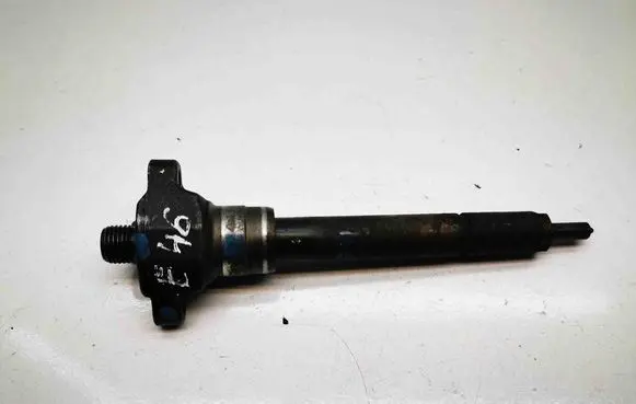 BMW 3 E46 Fuel injector 0432191528