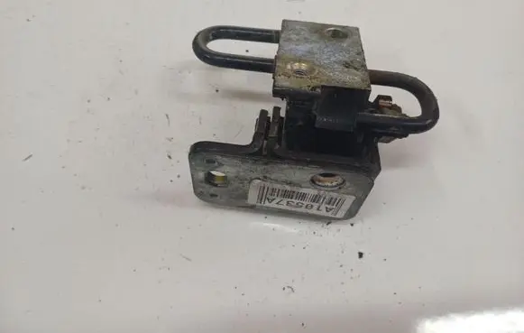 Rear door lower hinge