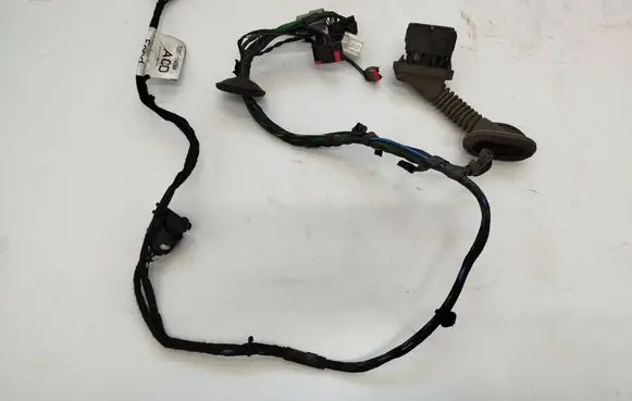 Front door wiring loom