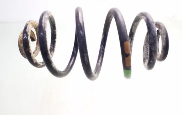 Volkswagen PASSAT B5 Rear coil spring