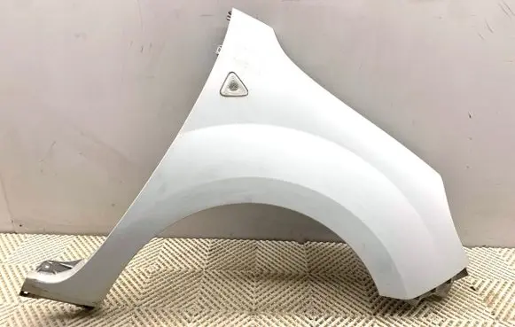 Renault Kangoo II Fender