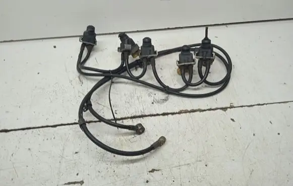 Volvo S60 LP gas injector 67R010069 270013