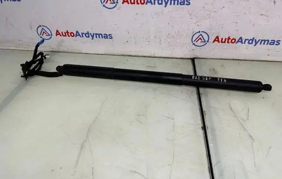 BMW X3 F25 Tailgate strut 7232004 51247232004