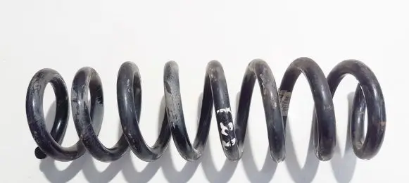Rear coil spring
