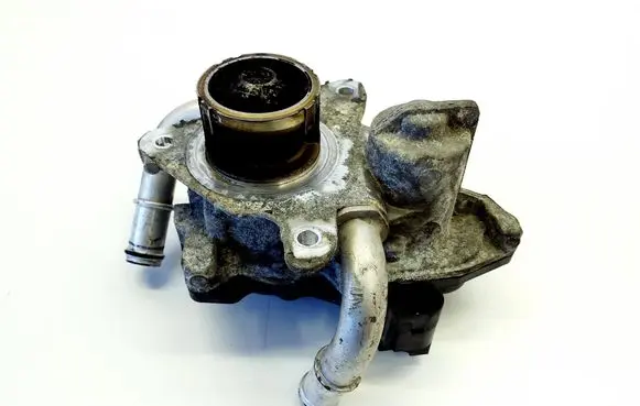 EGR valve