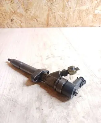 Renault Espace - Grand espace IV Fuel injector 0445110084