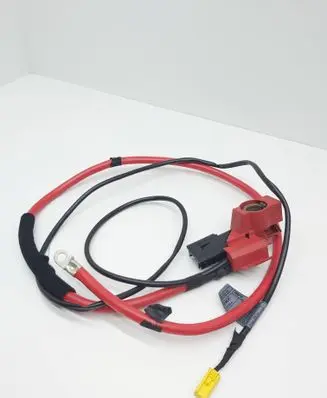 BMW X5 E53 Positive cable (battery) 202000027