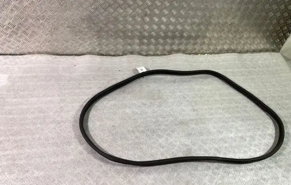 Rear door rubber seal (on body)