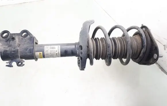 Toyota C-HR I Front shock absorber with coil spring 48520F4021