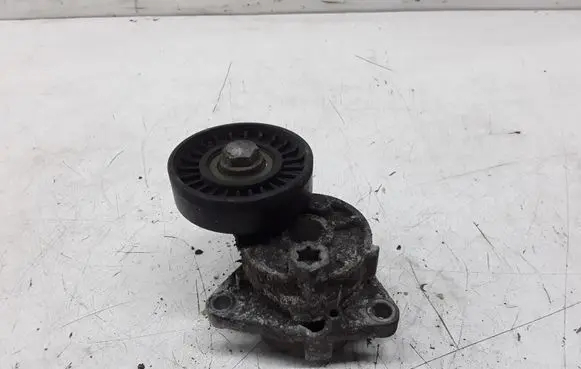 KIA Carnival Generator/alternator belt tensioner