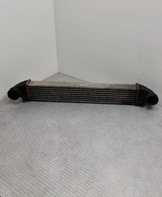 Mercedes-Benz B W245 Intercooler radiator A1695000000 G0976003 0000764