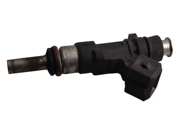 Renault Scenic III - Grand scenic III Fuel injector 166000001R 0280158216