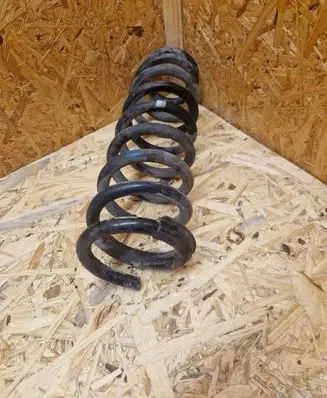 Rear coil spring