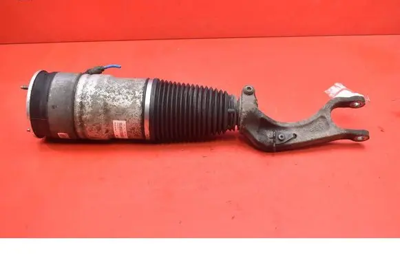 Tesla Model S Front shock absorber/damper 1030608-00-C