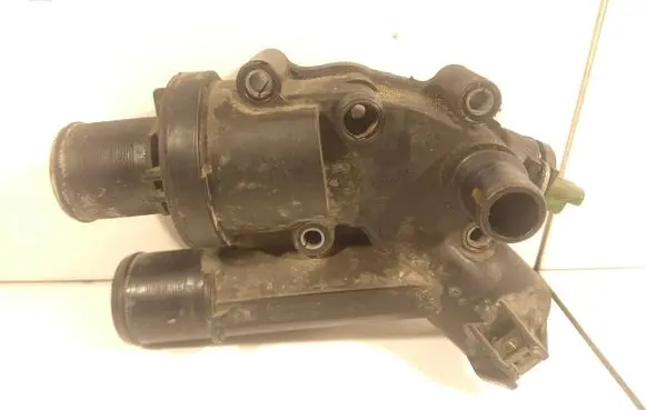 Thermostat/thermostat housing