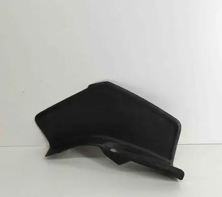 Rear/tail light trim molding