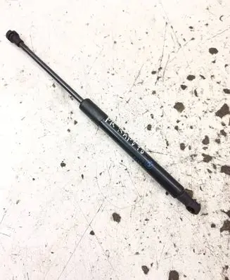 BMW X1 E84 Front bonnet/hood damper/strut 2990344