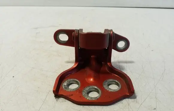 Rear door lower hinge