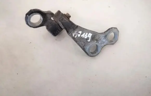 Rear door lower hinge