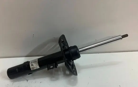 Honda Civic X Front shock absorber/damper 51620TGLG010M1