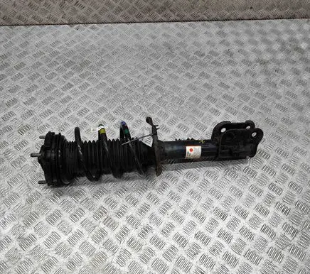 Hyundai Santa Fe Front shock absorber/damper 54651S1500