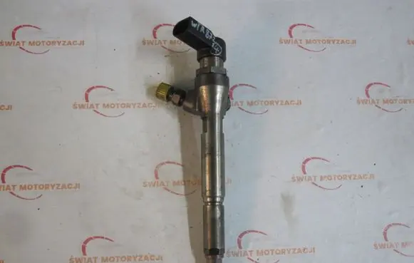 Nissan Bluebird Sylphy II Fuel injector H8200294788