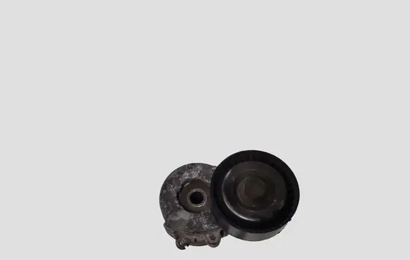 Opel Signum Generator/alternator belt tensioner