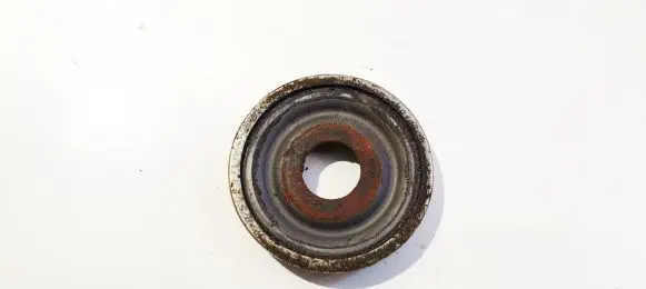 Coil spring mount