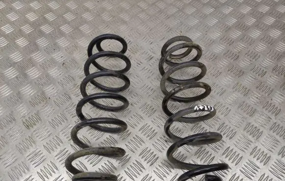 Rear coil spring